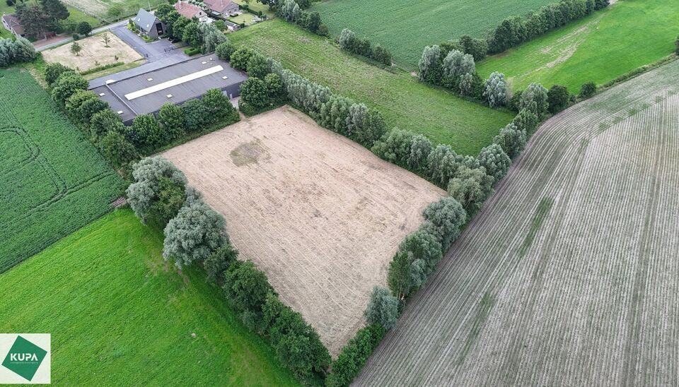 Ruime bedrijfssite met nieuwbouw kantoorgebouw, achterliggende loods van circa 1.680 m&sup2; en aansluitend weiland.
Vooraan aan de straat bevindt zich een recent en luxueus kantoorgebouw met ca. 160 m&sup2; bebouwde oppervlakte, bestaande uit gelijkvloers, eerst
