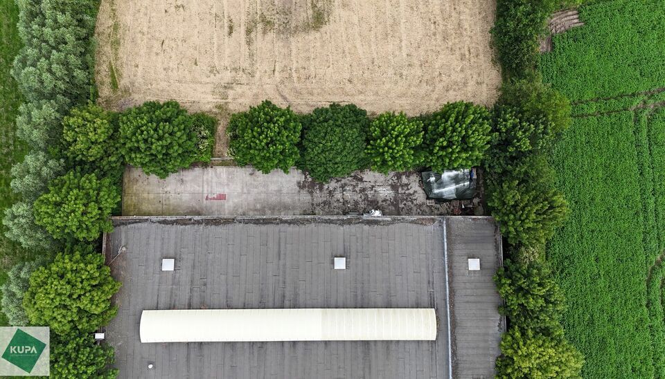 Ruime bedrijfssite met nieuwbouw kantoorgebouw, achterliggende loods van circa 1.680 m&sup2; en aansluitend weiland.
Vooraan aan de straat bevindt zich een recent en luxueus kantoorgebouw met ca. 160 m&sup2; bebouwde oppervlakte, bestaande uit gelijkvloers, eerst